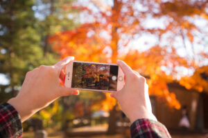 画像が粗くなる？スマホで画質を落とさず保存・送信する方法